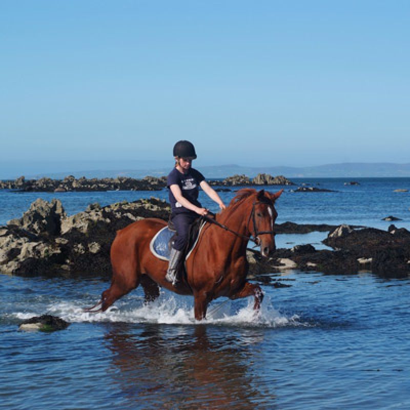 Horse Riding on the Dingle Peninsula