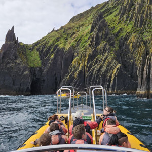 Dingle Sea Safari