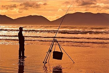 sea angler at inch beach 