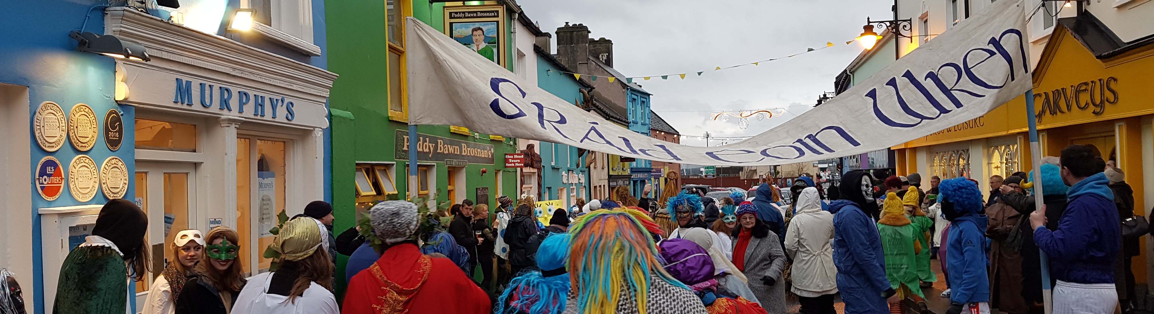 Photo of the Wren in Dingle Town