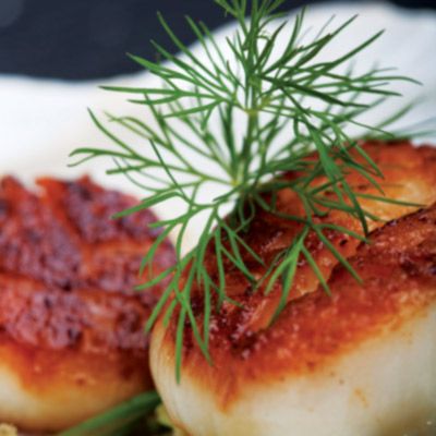 seared scallops garnished with dill